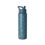 Summit Water Bottle with Straw Lid